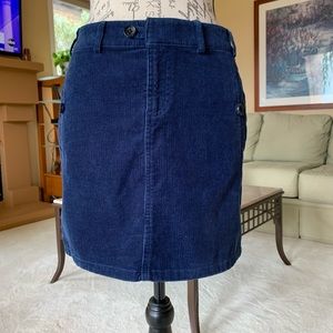 Banana Republic Skirt in Navy Blue